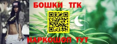 индика Пыть-Ях