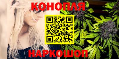 индика Пыть-Ях